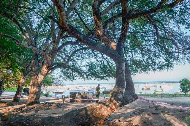 毛里求斯是一定要体验的项目,跳入大海,感受天堂岛国2