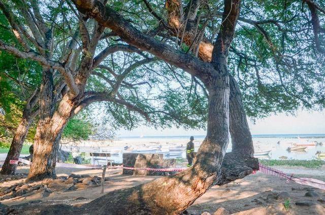 毛里求斯是一定要体验的项目,跳入大海,感受天堂岛国3