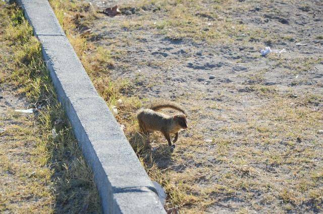 毛里求斯是一定要体验的项目,跳入大海,感受天堂岛国9