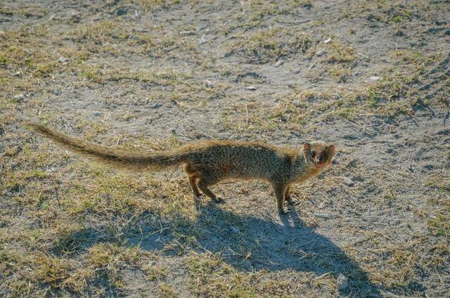 毛里求斯是一定要体验的项目,跳入大海,感受天堂岛国11