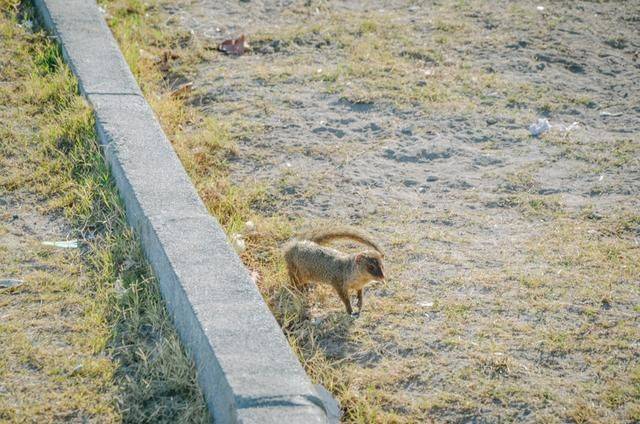 毛里求斯是一定要体验的项目,跳入大海,感受天堂岛国10
