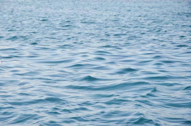 毛里求斯是一定要体验的项目,跳入大海,感受天堂岛国15