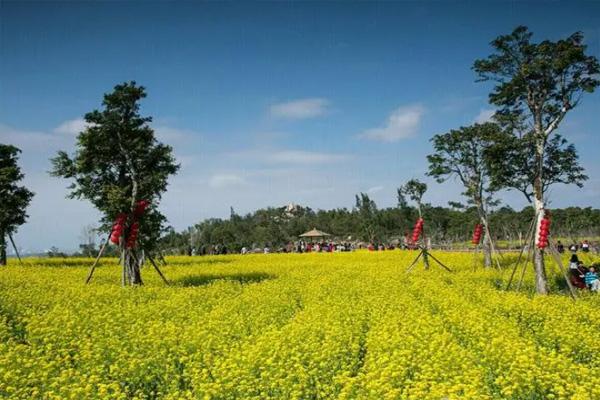 厦门香山公园游玩攻略20221