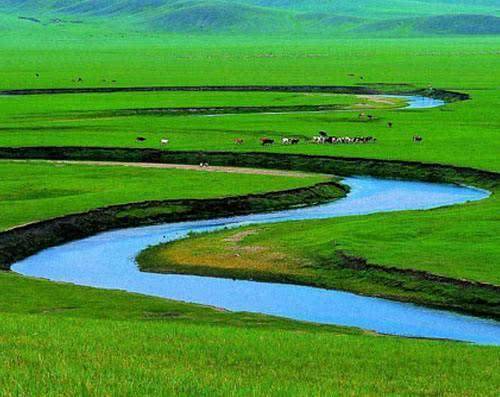 自然界吉尼斯之最：世界最“袖珍”河流，最窄处过路鱼都会被卡住2