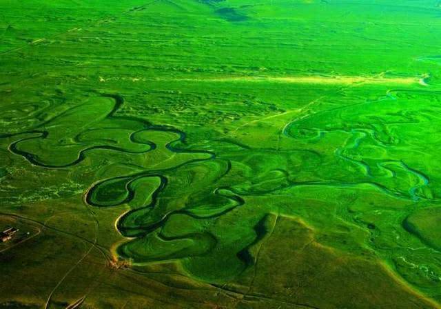 自然界吉尼斯之最：世界最“袖珍”河流，最窄处过路鱼都会被卡住5