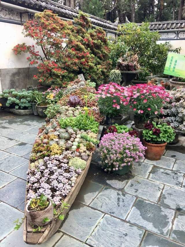 中国最美尼姑庵,只种花不烧香,20元/位的自助斋饭人气爆棚3