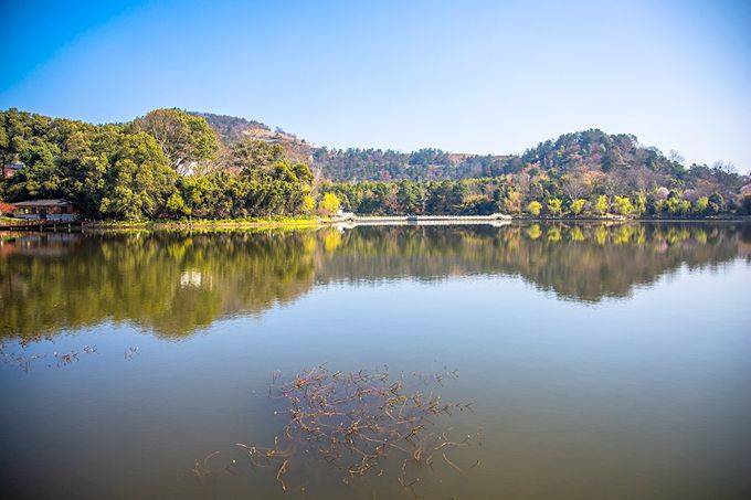 武汉黄陂有一座花乡茶谷,春色秀美,成为了游客喜爱的网红打卡地3