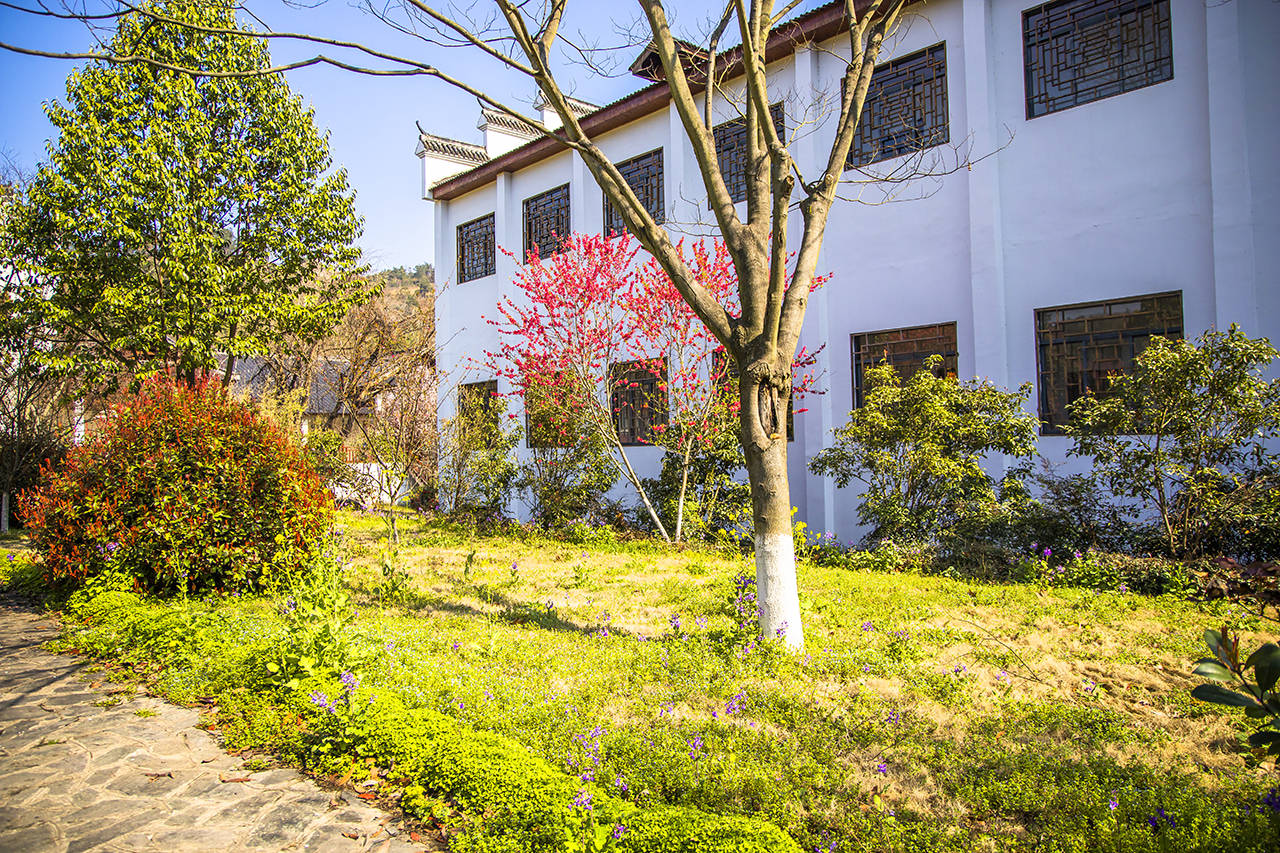 武汉黄陂有一座花乡茶谷,春色秀美,成为了游客喜爱的网红打卡地4