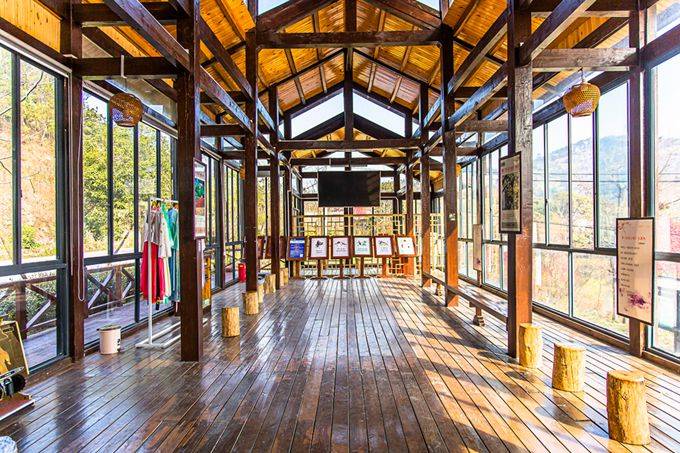 武汉黄陂有一座花乡茶谷,春色秀美,成为了游客喜爱的网红打卡地5