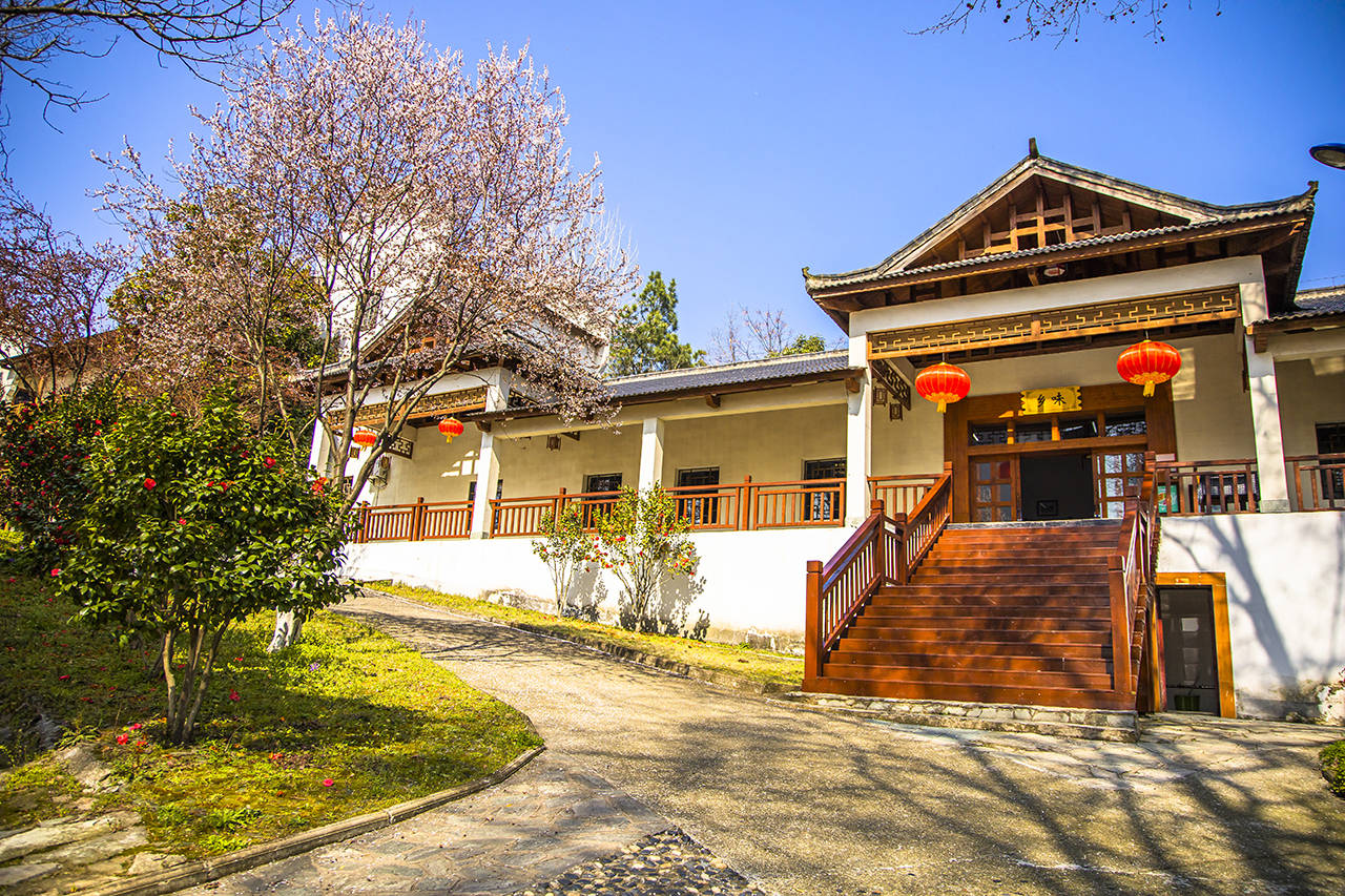 武汉黄陂有一座花乡茶谷,春色秀美,成为了游客喜爱的网红打卡地6