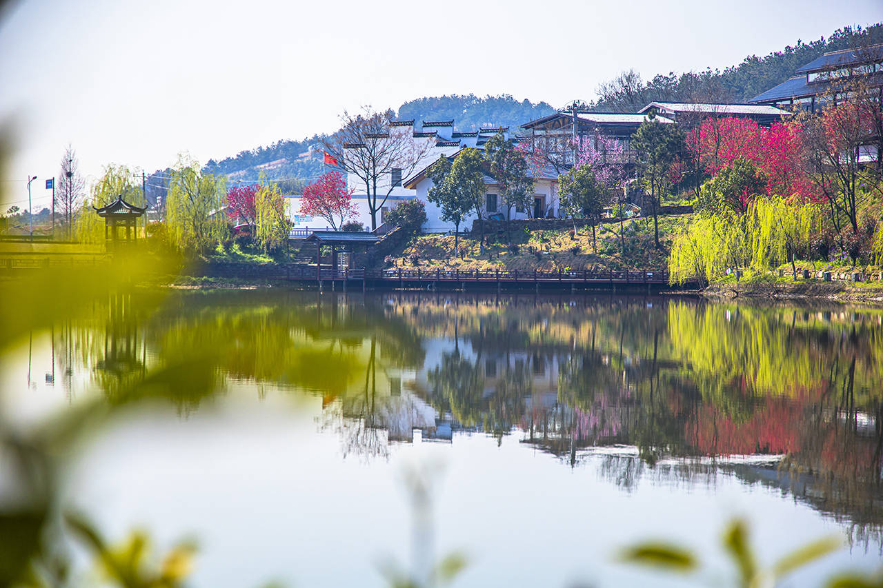 武汉黄陂有一座花乡茶谷,春色秀美,成为了游客喜爱的网红打卡地9