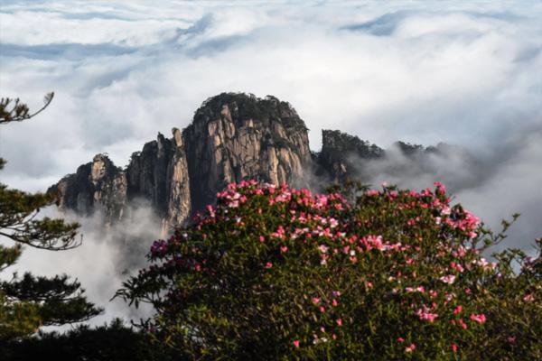 安徽黄山旅游景点攻略路线3