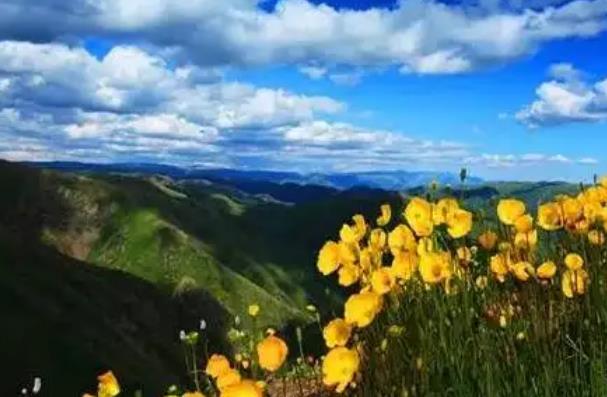 G219塔城段赏花的地方有哪些2