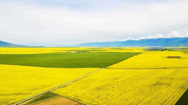 「贫瘠之地」大概是我对青海最大的误解7