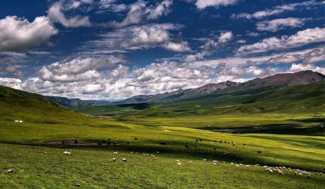 「贫瘠之地」大概是我对青海最大的误解9