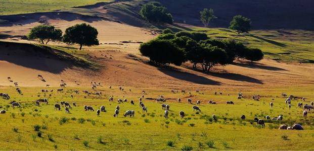 距北京最近的草原之一，那迷人的欧式草原风光，让人心醉痴迷3