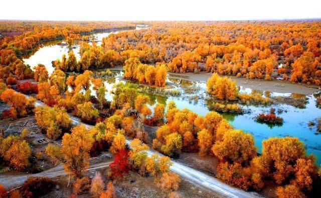 中国有一“奇树”,生来千年不死,死后千年不倒,倒后千年不腐3