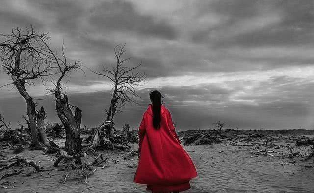 中国有一“奇树”,生来千年不死,死后千年不倒,倒后千年不腐4