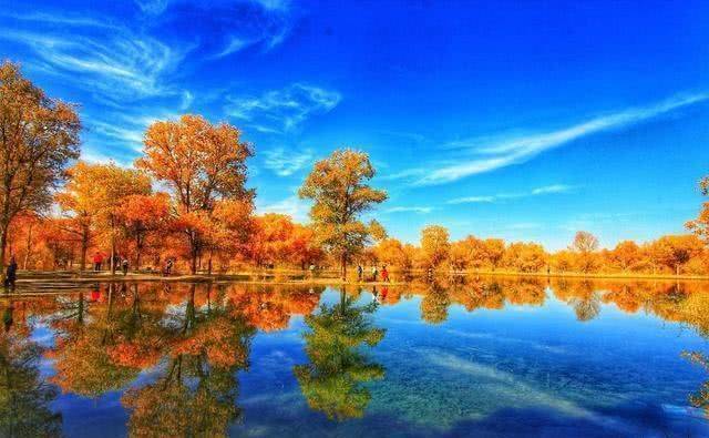 中国有一“奇树”,生来千年不死,死后千年不倒,倒后千年不腐6