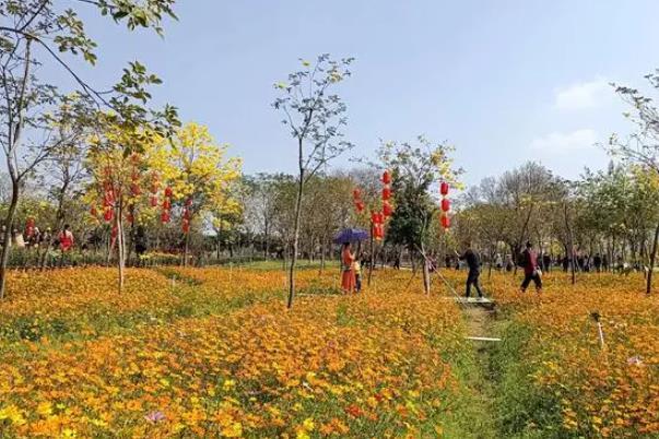 佛山两日游适合去哪里 游玩路线推荐2