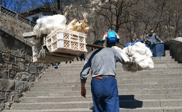 泰山挑山工工资低干活累,为何还有人愿意干?原因真的很现实3