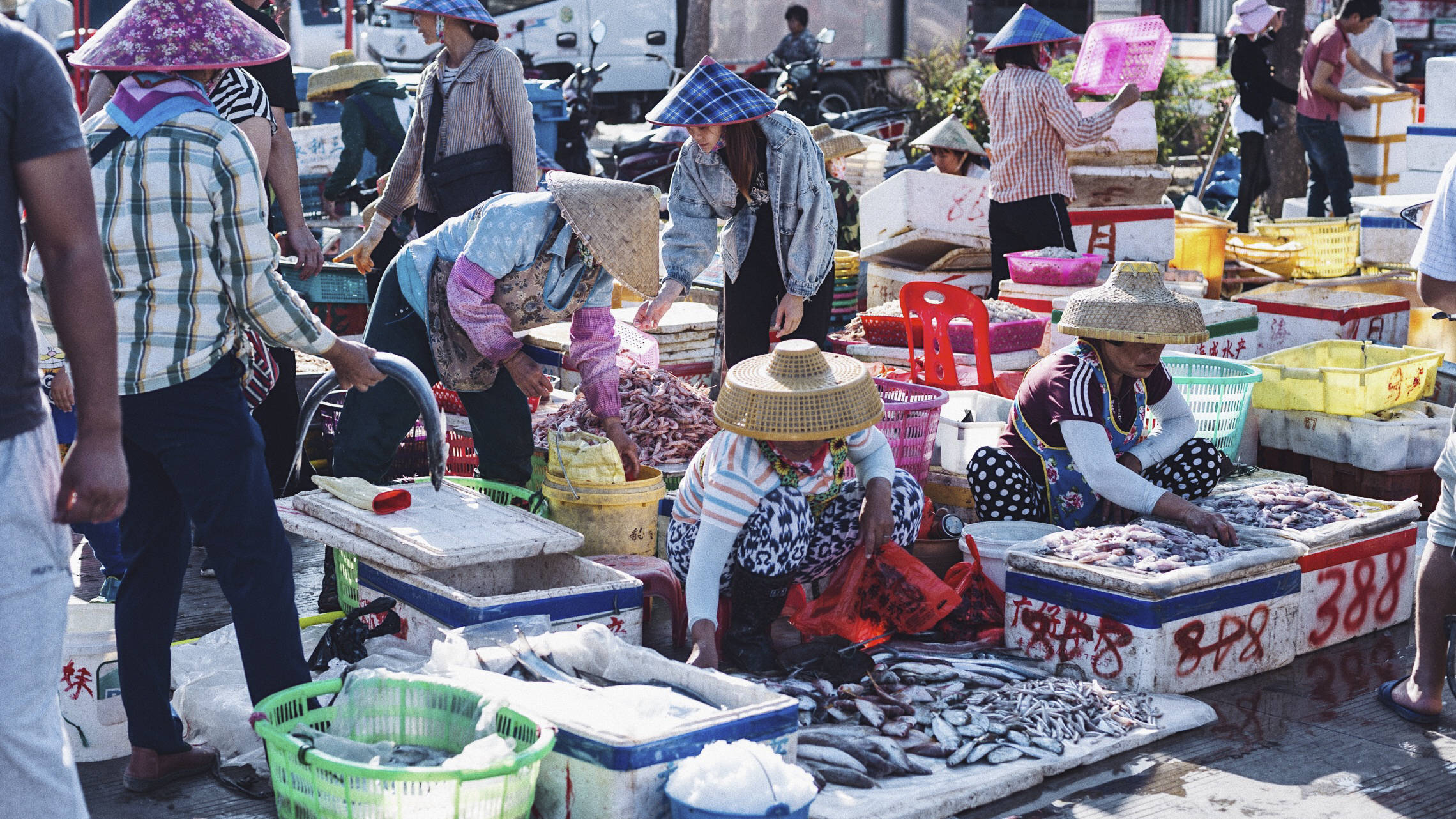 三亚崖州中心渔港,我国最南端规模最大渔港,海鲜种类超多超便宜1
