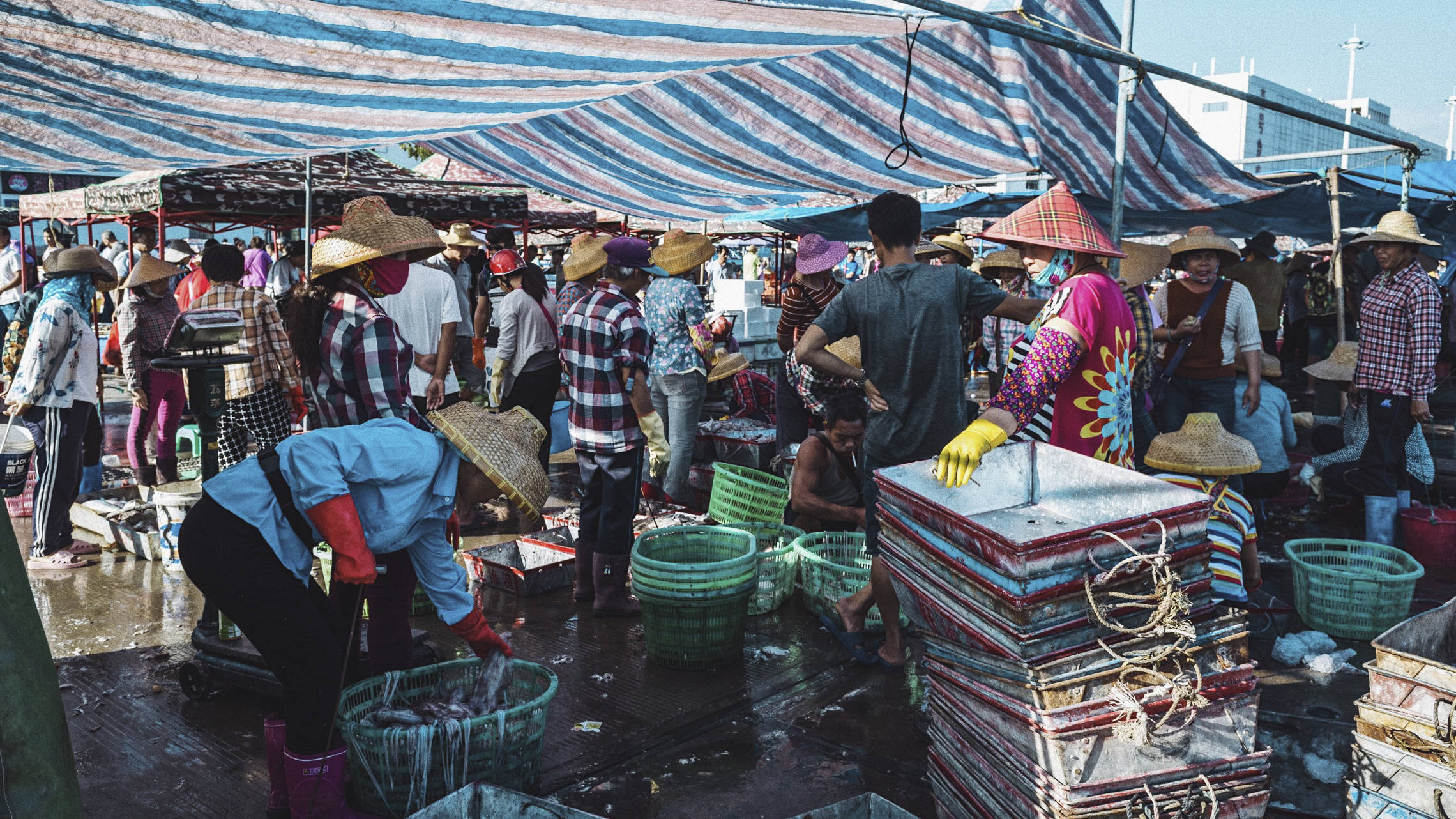 三亚崖州中心渔港,我国最南端规模最大渔港,海鲜种类超多超便宜3