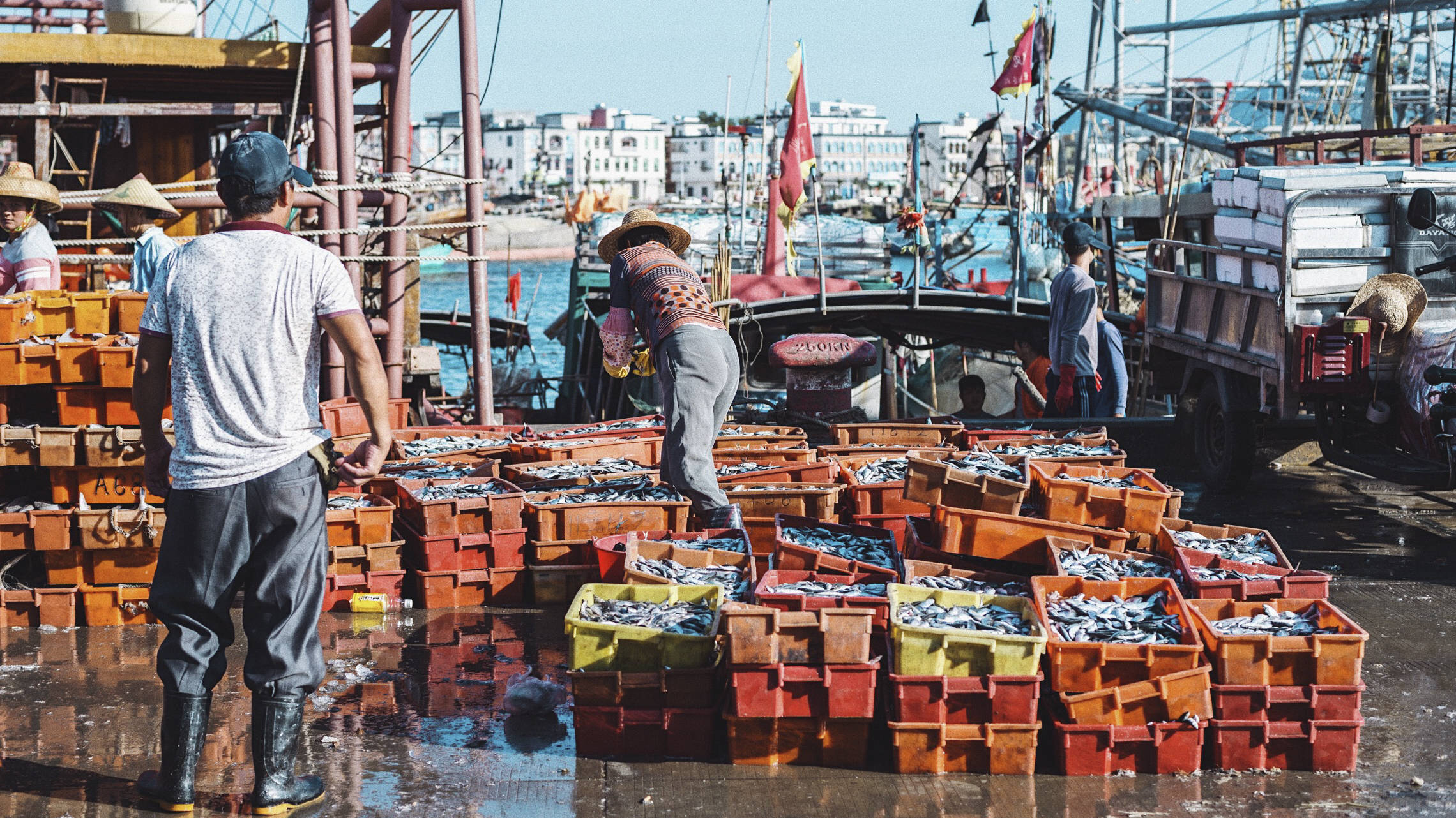 三亚崖州中心渔港,我国最南端规模最大渔港,海鲜种类超多超便宜8