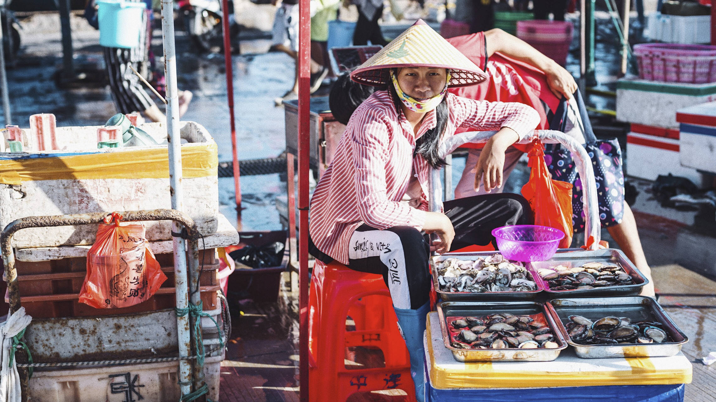 三亚崖州中心渔港,我国最南端规模最大渔港,海鲜种类超多超便宜9