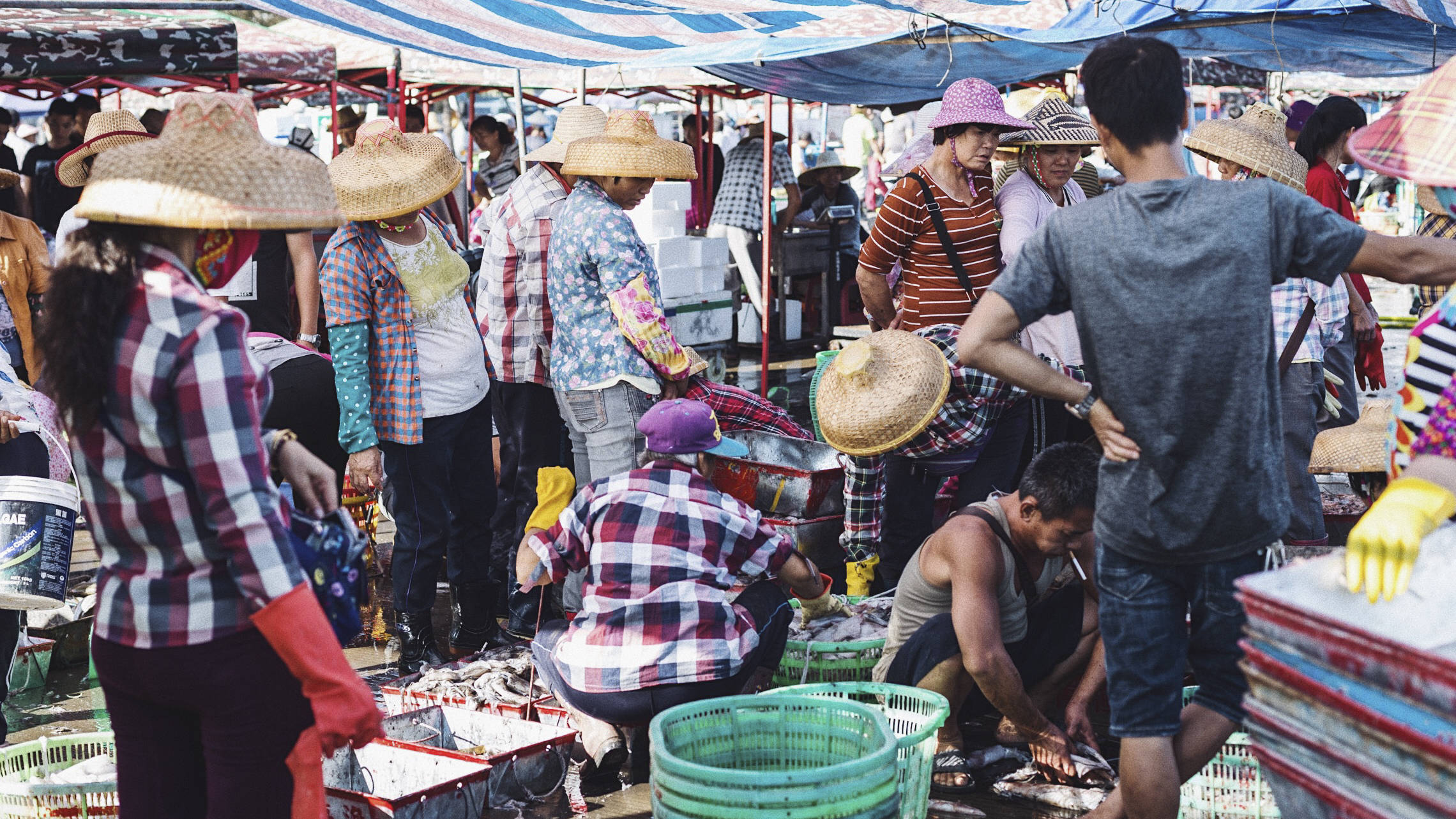 三亚崖州中心渔港,我国最南端规模最大渔港,海鲜种类超多超便宜10