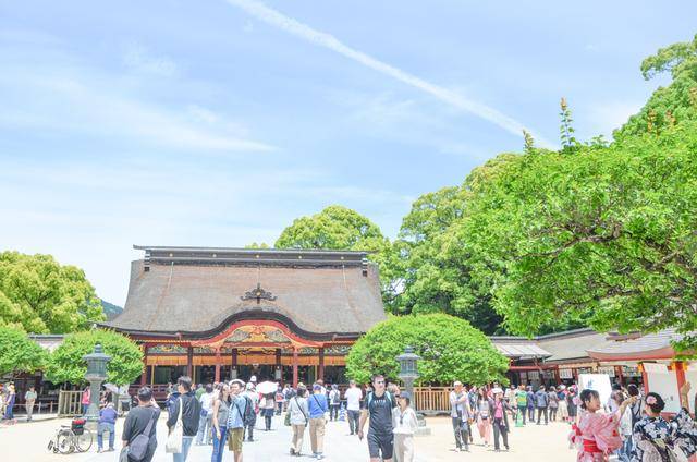 来福冈一定要去一次太宰府,古木参天,建筑太美了1