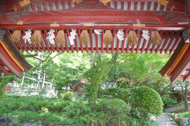 来福冈一定要去一次太宰府,古木参天,建筑太美了5