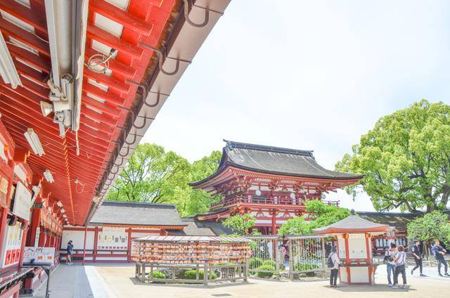 来福冈一定要去一次太宰府,古木参天,建筑太美了6