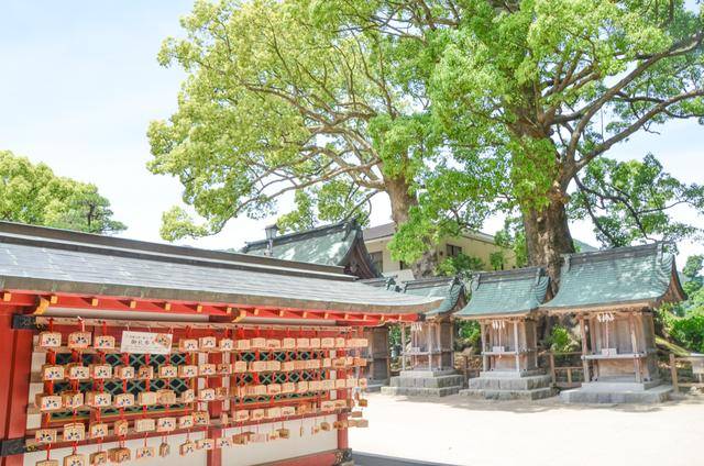 来福冈一定要去一次太宰府,古木参天,建筑太美了9