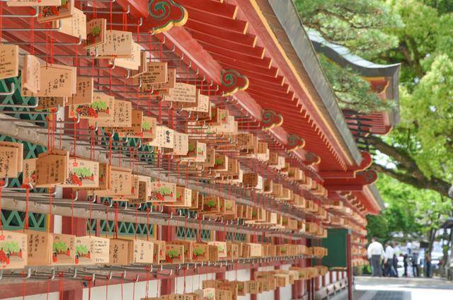 来福冈一定要去一次太宰府,古木参天,建筑太美了10