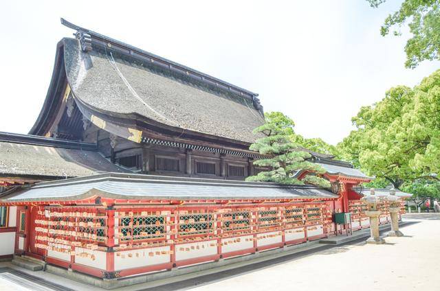 来福冈一定要去一次太宰府,古木参天,建筑太美了11