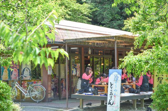 来福冈一定要去一次太宰府,古木参天,建筑太美了16