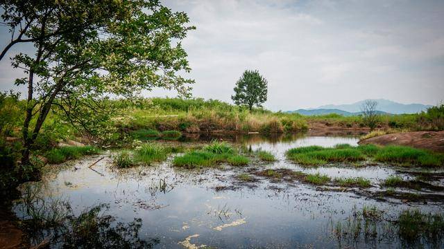中国最奇特最像外星球的地貌就在湖南这个地方,火爆多年还未收费1