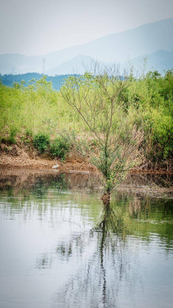 中国最奇特最像外星球的地貌就在湖南这个地方,火爆多年还未收费2