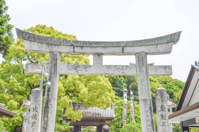 来日本福冈不看这个寺庙的，真的白来，因为文物就这么一个好看的3