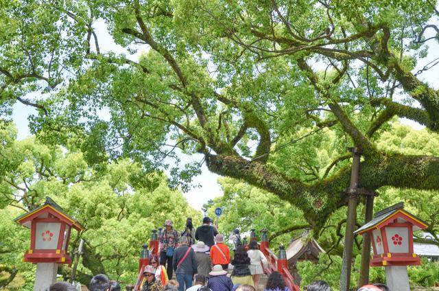 来日本福冈不看这个寺庙的，真的白来，因为文物就这么一个好看的5