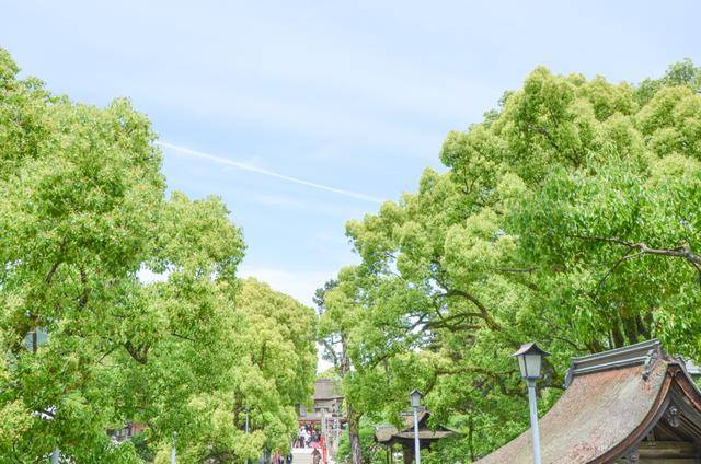 来日本福冈不看这个寺庙的，真的白来，因为文物就这么一个好看的6