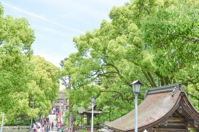 来日本福冈不看这个寺庙的，真的白来，因为文物就这么一个好看的7