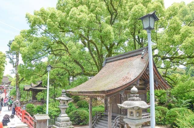 来日本福冈不看这个寺庙的，真的白来，因为文物就这么一个好看的8