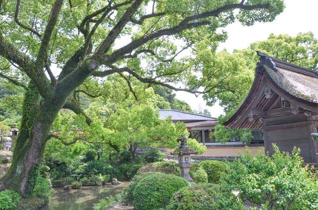 来日本福冈不看这个寺庙的，真的白来，因为文物就这么一个好看的11