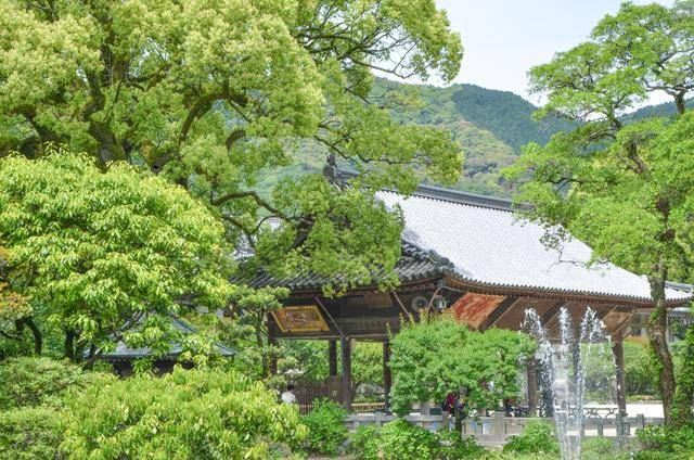 来日本福冈不看这个寺庙的，真的白来，因为文物就这么一个好看的9