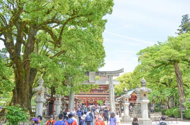 来日本福冈不看这个寺庙的，真的白来，因为文物就这么一个好看的14