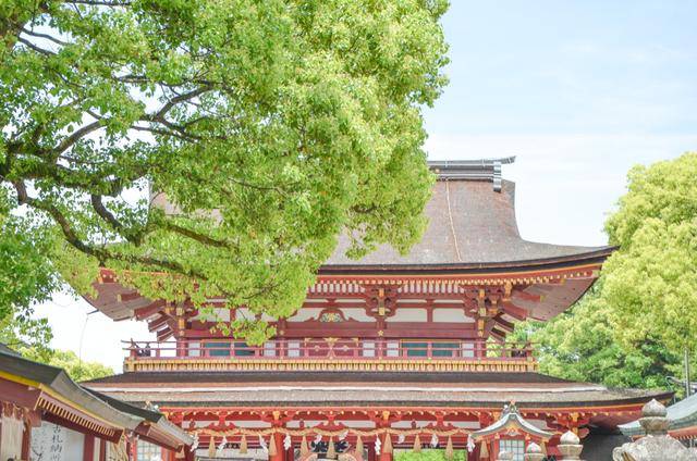 来日本福冈不看这个寺庙的，真的白来，因为文物就这么一个好看的15