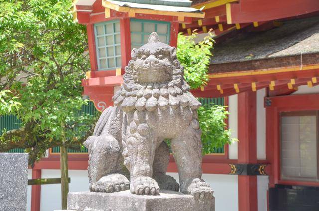 来日本福冈不看这个寺庙的，真的白来，因为文物就这么一个好看的23