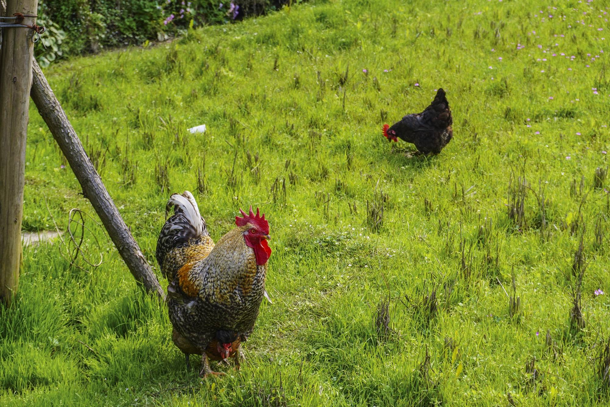 安徽深山中有座冷门古村,被誉为“梦乡村”,宛如世外桃源3